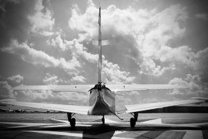 N1561M