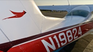 N19824