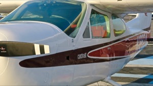 N19824