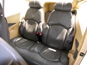 N269S
