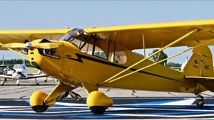 N30736