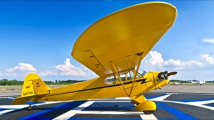 N30736