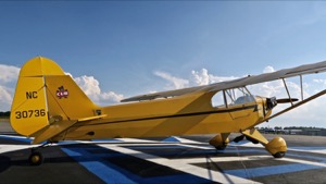 N30736