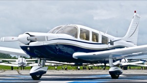 N56631